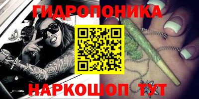 стаф Донецк