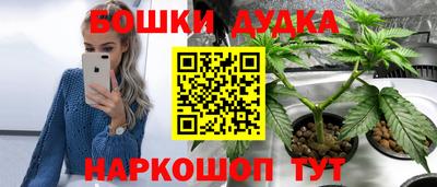 стаф Донецк