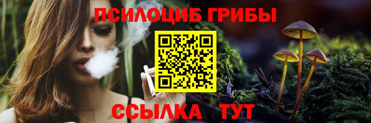 Псилоцибиновые грибы Psilocybe  Вход с VPN  Дюртюли 